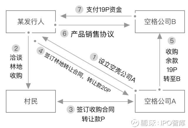 澳门一码中精准投注技巧，揭秘赢家策略