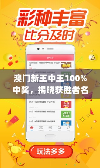 2046年新澳门王中王的神秘面纱，揭秘与展望