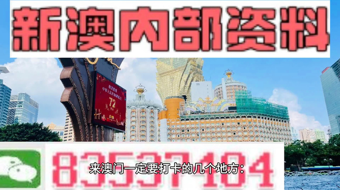 2046年新澳门王中王的神秘面纱，揭秘与展望