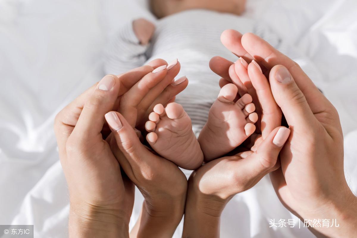 东莞工商核名系统 第5页