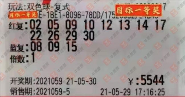 探秘南国彩票精彩论坛，彩民的智慧交流与梦想启航之地